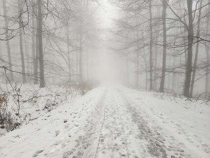 Fotografia z Attila Bicskó na trase