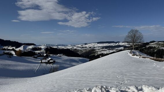 Foto von peter_oe entlang der Tour