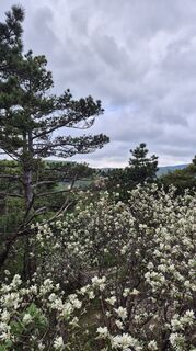 Foto de Claudia Maurer a lo largo del recorrido