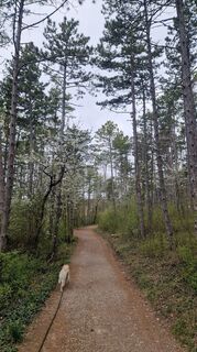 Fotografie z Claudia Maurer na trase