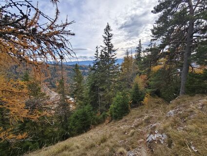 Fotografia z Edit Beliczai na trase