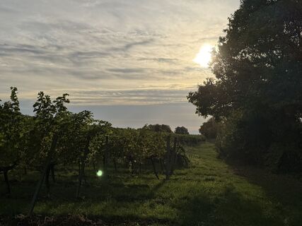 Foto von Helen entlang der Tour