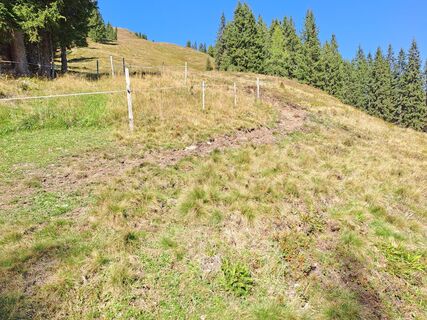Foto von Wanderbursche66 entlang der Tour