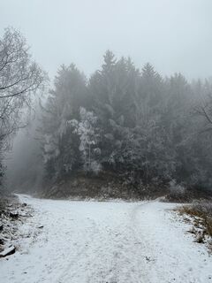 Foto von Robert Schober entlang der Tour