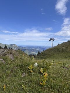 Foto de Benediktus_prim a lo largo del recorrido