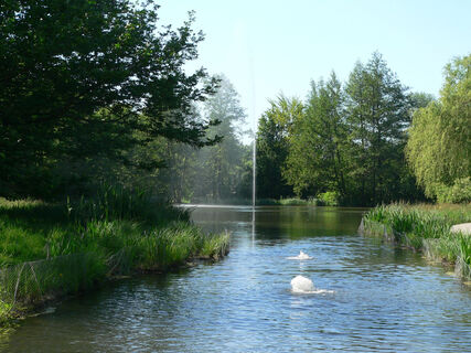 Kurparksee Waldbronn