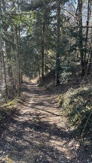 Fotografia z sennah_aig na trase