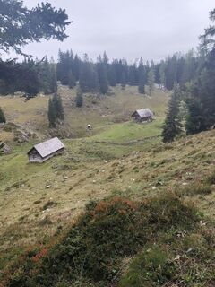 Foto von Edith K. entlang der Tour