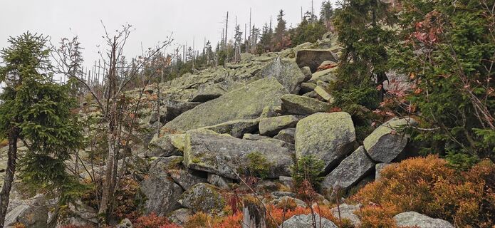 Photo de Andreas le long du parcours