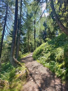 Fotografija s spletne strani Enrico Rau na poti