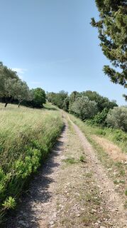 Photo de carlofiaschetti le long du parcours