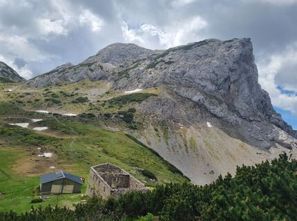 Photo de Grizli le long du parcours