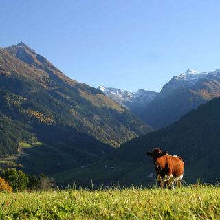 Am Felberberg (linker Berg im Bild) befindet sich eine herrliche Almenlandschaft.
