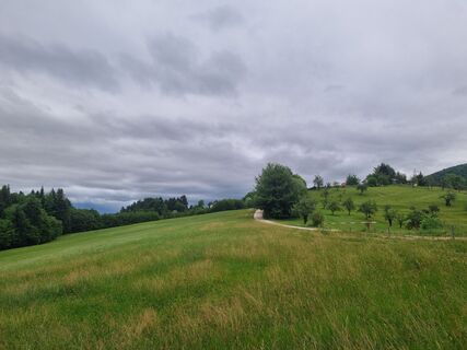 Fotografie z Grizli na trase