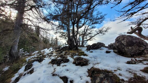 Foto von Juliane Jarke entlang der Tour