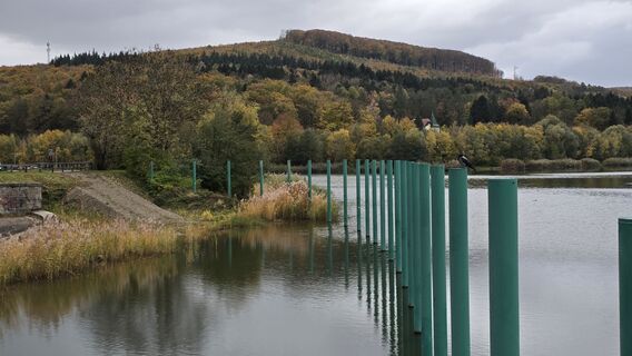 Foto da Hieu Duc Tram lungo il tour