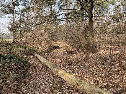 Über Stock und Stein, aber oft auch asphaltiert