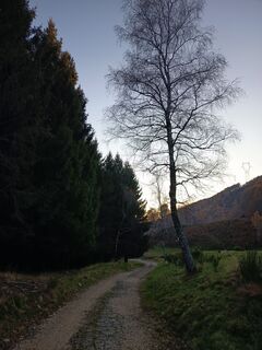 Fotografia z Aner na trase