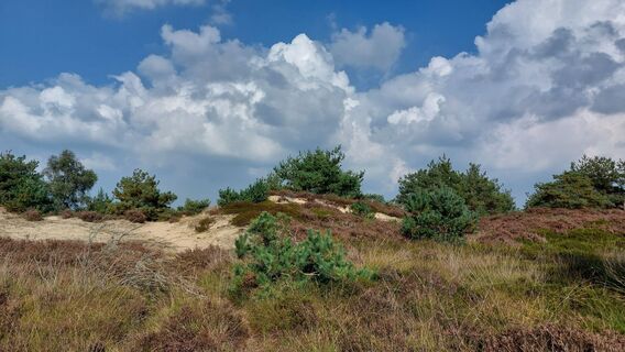 Foto von wandelstef entlang der Tour