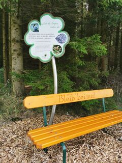 Photo de lydiak le long du parcours