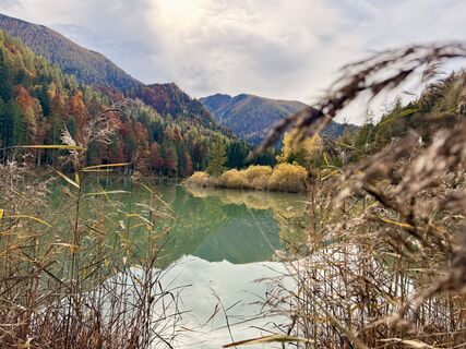Foto von Natur_erleben_dg entlang der Tour