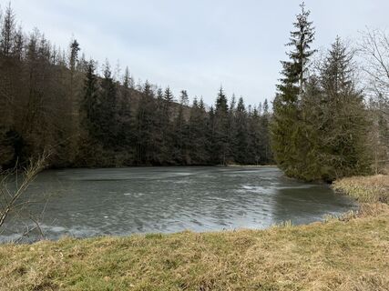 Photo de Norbert Herbig le long du parcours
