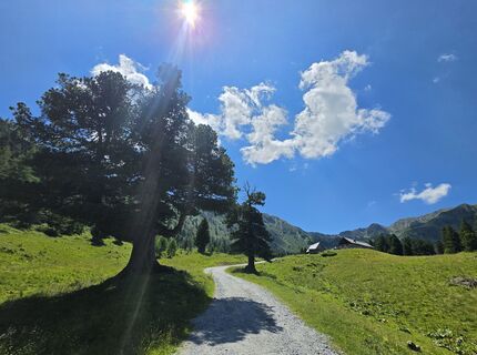 Fotografija s spletne strani MRDL na poti