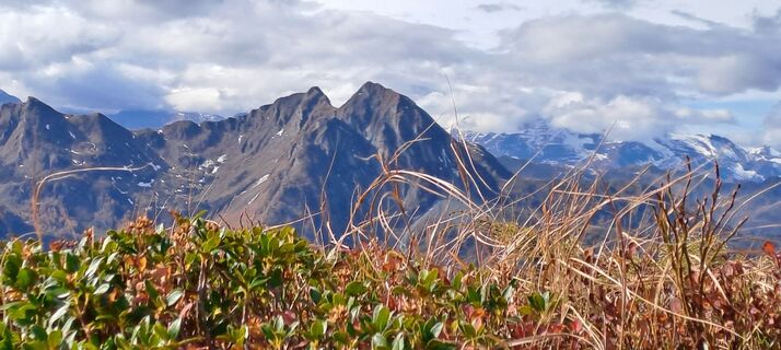 Foto från Josef Nocker under resans gång