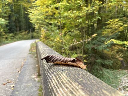 Photo de Heinz Sperl le long du parcours