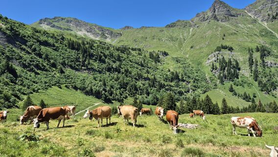 Fotografia z Philippe Horner na trase