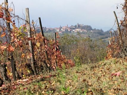 Don Bosco Weg: Etappe 2 Basilica di Superga - Abtei Vezzolano
