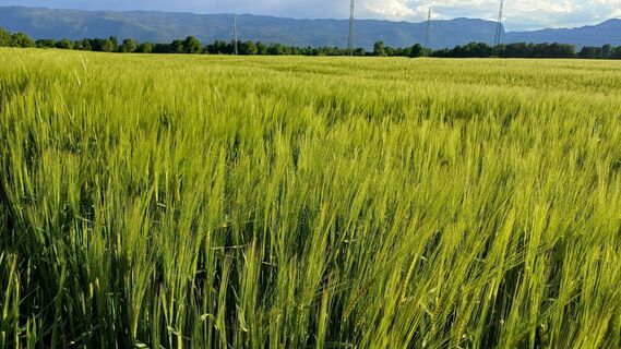 Foto von Nataša Pogorevc entlang der Tour