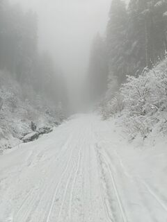 Foto von Florian Offergelt entlang der Tour