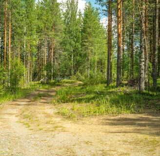 Die Strecke beginnt 50 m vor dem Parkplatz