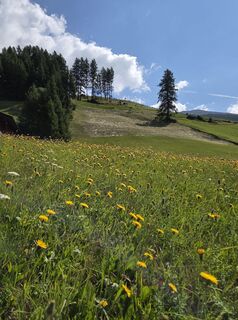 Foto von brimo entlang der Tour