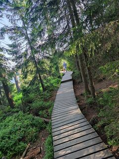 Foto von Jörg Giesecke entlang der Tour