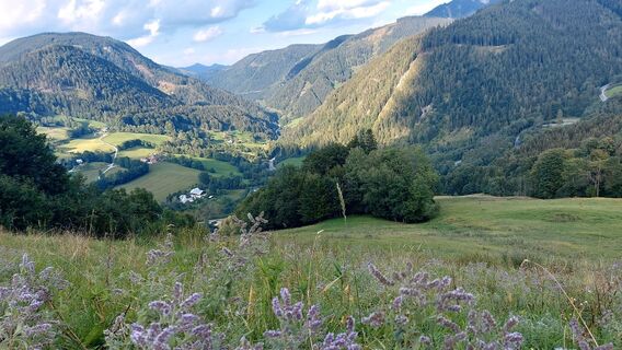 Foto von Regina Felber-Stossier entlang der Tour