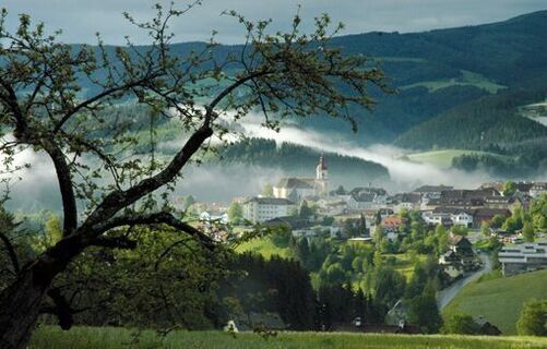 Blick über Birkfeld, Joglland-Waldheimat in der Oststeiermark