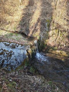 Photo de Margit Leitner 1 le long du parcours