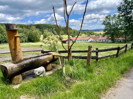 Fotografia z Václav Stejskal na trase