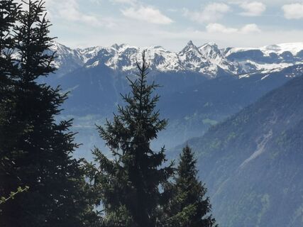 Fotografija s spletne strani Waldläufer na poti