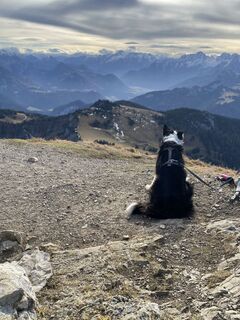 Foto von Sven Krieblin entlang der Tour