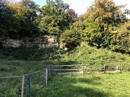 Foto da Martin Würsch lungo il tour
