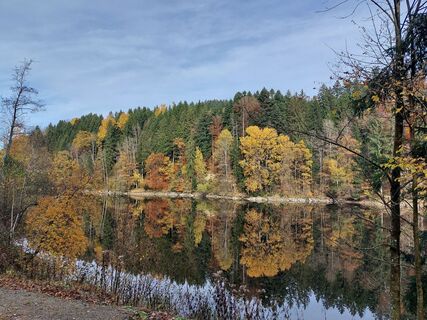 Fotografia z Renate Edelmüller na trase