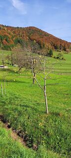 Fotó a f.rabe honlapról a túra során