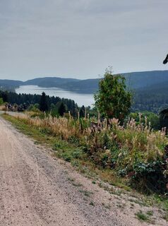 Photo de Johanna Keller le long du parcours