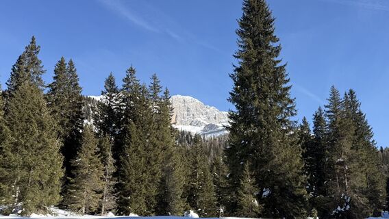 Foto von Stan Persoons entlang der Tour