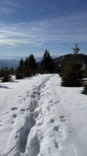 Foto von Vera Wagner entlang der Tour
