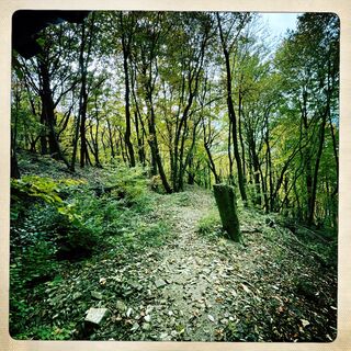 Foto von Axel Schwanhäußer entlang der Tour