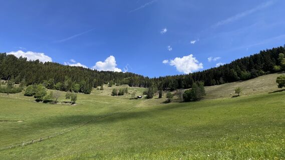 Foto de Ma Wa a lo largo del recorrido